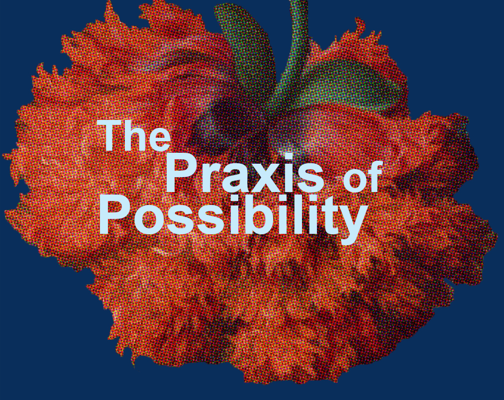 A digital graphic that is a close-up of a pixelated red-orange flower that is upside down in front of a navy blue background. On top of the graphic is the text “The Praxis of Possibility”.