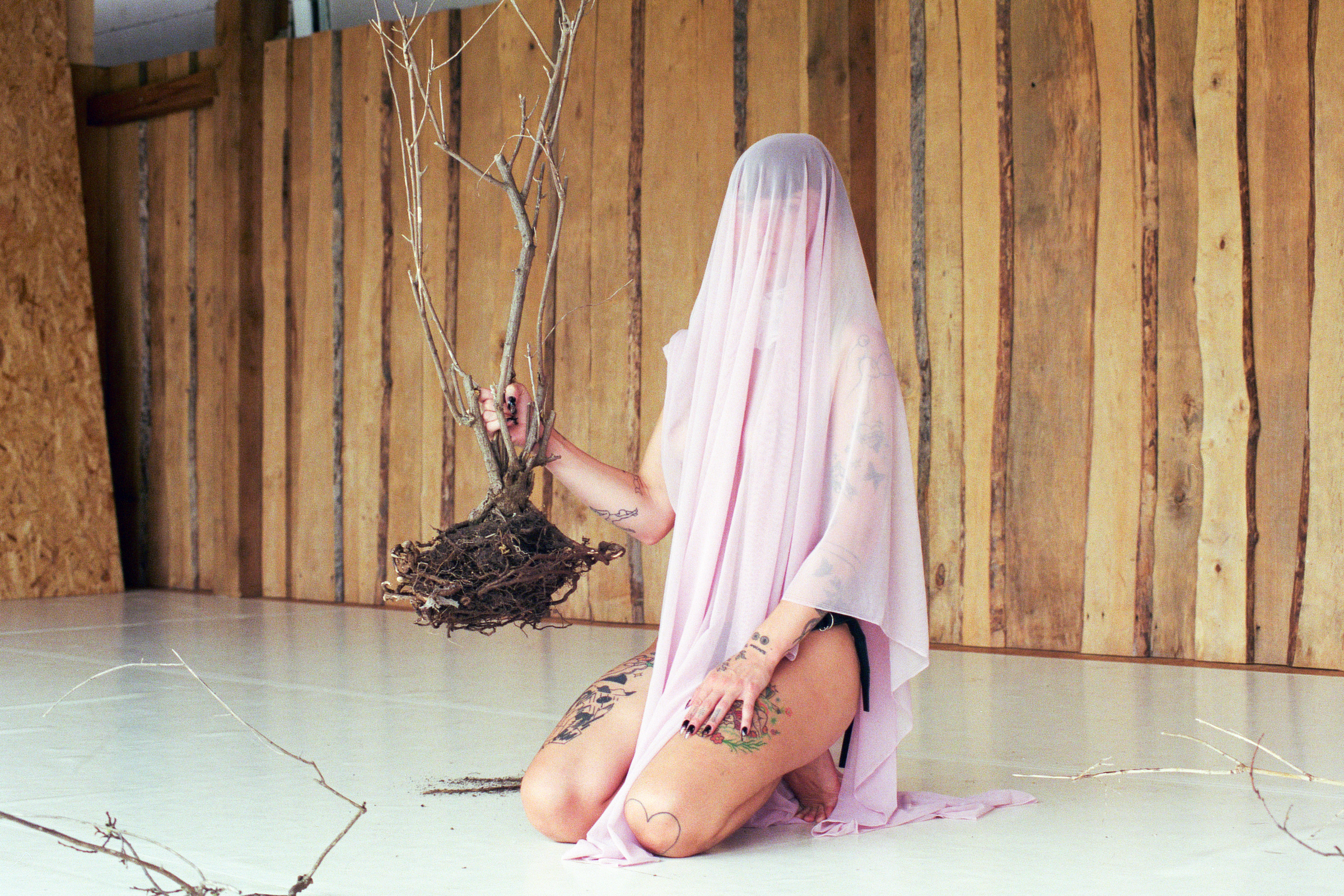 Mary-Dora Bloch-Hansen is sitting on their knees on a white floor of a studio space with a wooden wall behind them. Placed over their head is a light pink, mesh sheet that drapes down and covers their upper body. Their legs are bare, showing various tattoos. To their right side, they are holding up a bunch of long skinny branches that are still attached together by the roots.