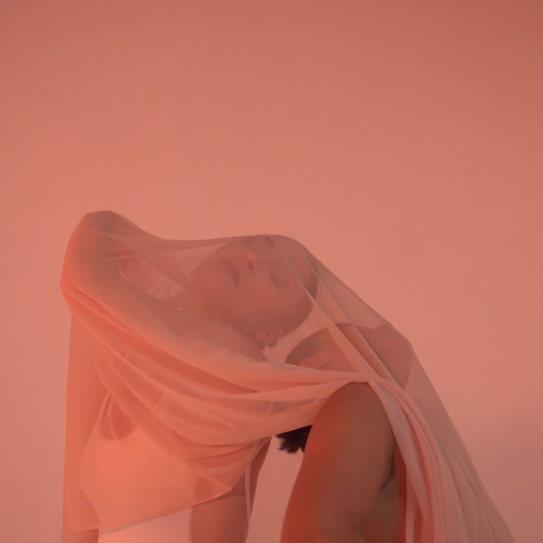 In front of a salmon pink backdrop are two dance artists underneath a mesh pink sheet that drapes over their faces.